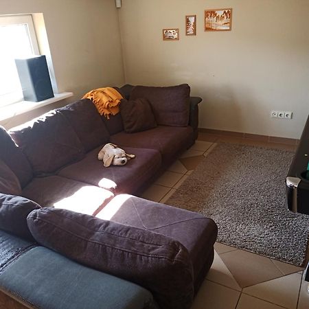 Vilnius Cat Friendly Apartment Bagian luar foto